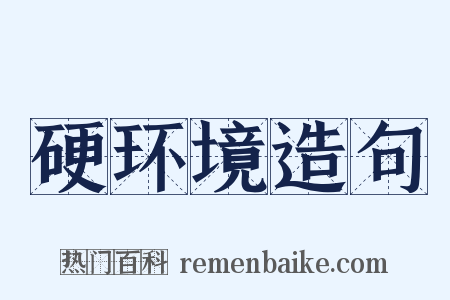 硬环境造句是什么意思的图片